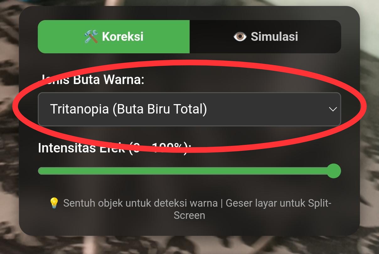 Contoh Mode Buta Warna